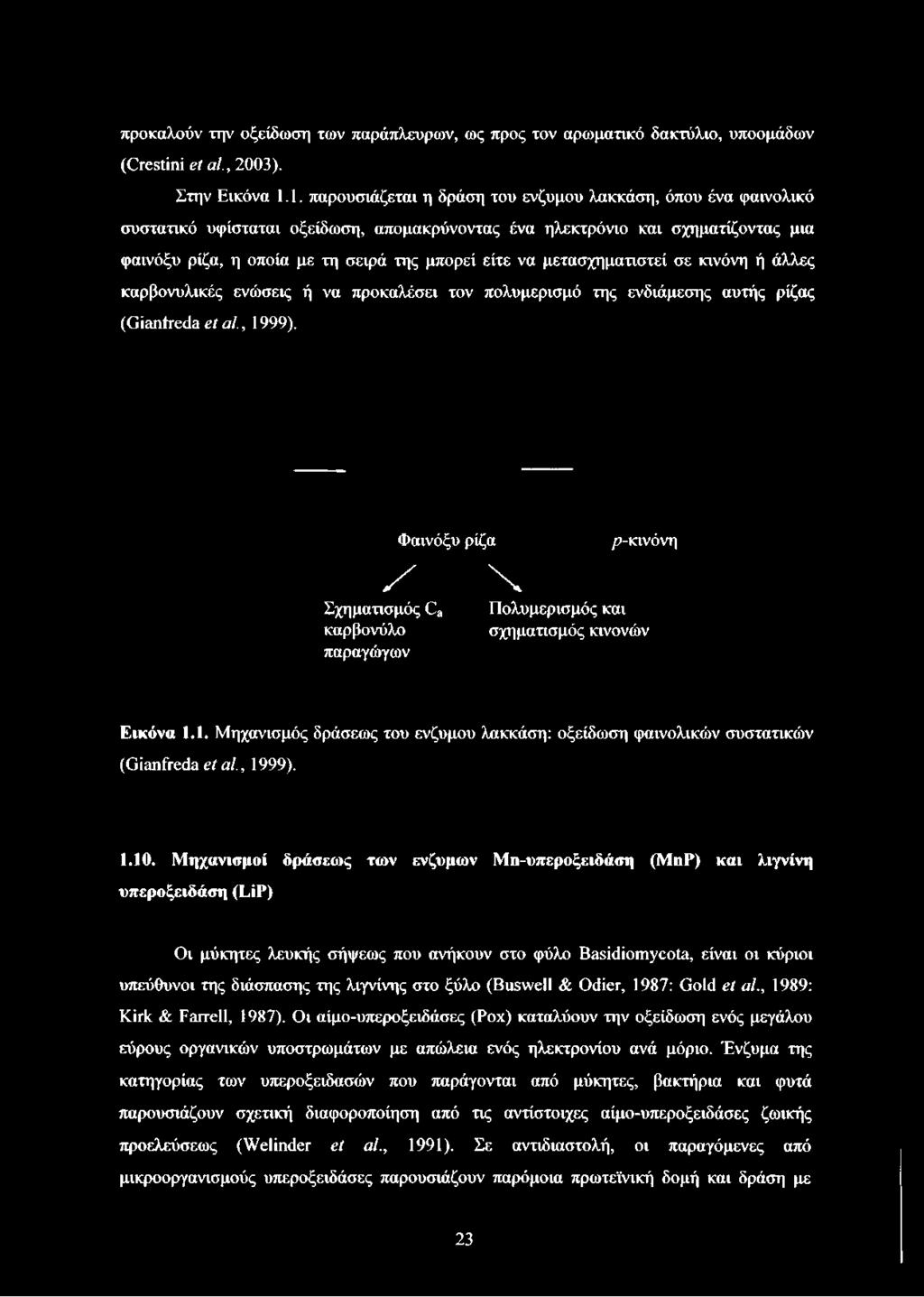 σχηματίζοντας μια φαινόξυ ρίζα, η οποία με τη σειρά της μπορεί είτε να μετασχηματιστεί σε κινόνη ή άλλες καρβονυλικές ενώσεις ή να