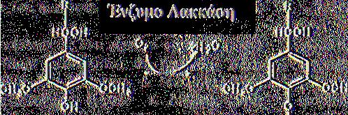 X Φαινόξυ ρίζα Σχηματισμός Ca καρβονύλο παραγώγων X /»-κινόνη Πολυμερισμός και σχηματισμός κινονών Εικόνα 1.