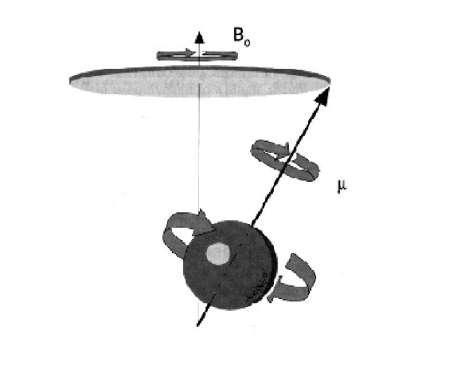 f 0 B 0 Tuuma magnetmomendi vektor hakkab pretsesseeruma alalismagnetväljas Bo Pretsessiooni sagedus (Larmor i sagedus) f 0 B 0 f0 resonantssagedus e Larmor i