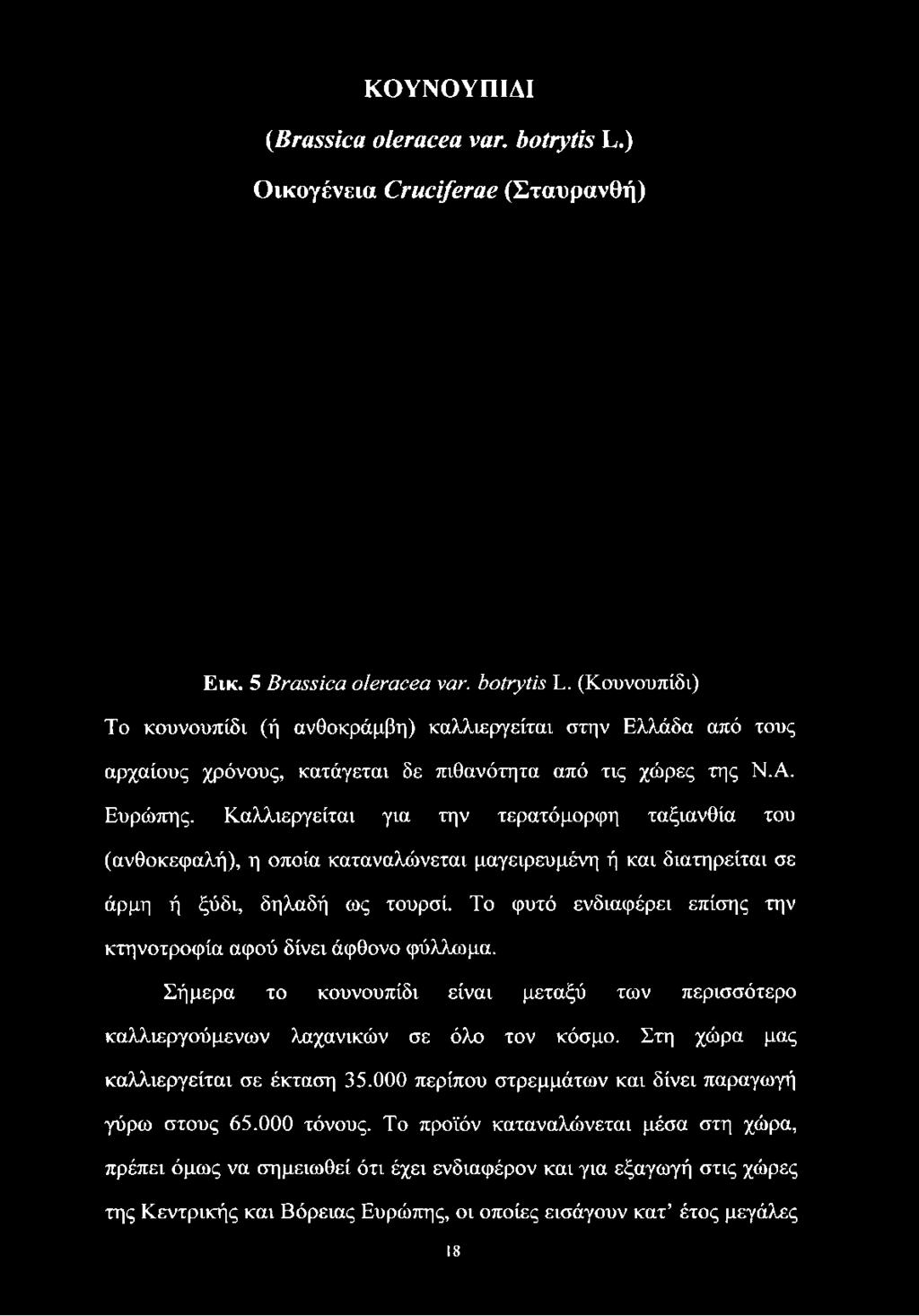 (Κουνουπίδι) Το κουνουπίδι (ή ανθοκράμβη) καλλιεργείται στην Ελλάδα από τους αρχαίους χρόνους, κατάγεται δε πιθανότητα από τις χώρες της Ν.Α.