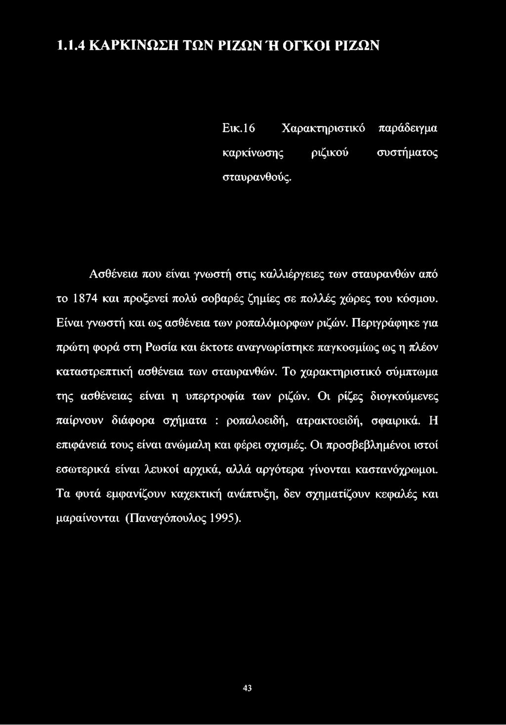 χώρες του κόσμου. Είναι γνωστή και ως ασθένεια των ροπαλόμορφων ριζών.