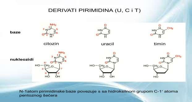 Inhibitori mitotskog vretena deluju na mikrotubularne prekursore za mitotsko vreteno. Primeri: prokarbazin (Natulan ), heksametilmelamin (Hexastat ) itd. 5.