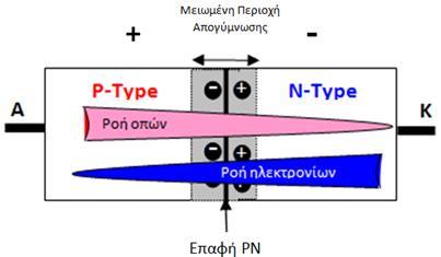 Εικόνα 1.4.4β: Εσωτερική δομή διόδου κατά την ορθή πόλωση Εικόνα 1.4.4γ: Κατανομή πληθυσμών φορέων κατά την ορθή πόλωση Η ανάστροφη πόλωση παρουσιάζεται στην Εικόνα 1.4.4δ, όπου η πολικότητα της μπαταρίας αντιστρέφεται.