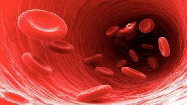 ΚΕΦΑΛΑΙΟ 2 2.1.5 ΑΙΜΑ Αίμα είναι το υγρό που κυκλοφορεί στο αγγειακό σύστημα των ανθρώπων (εικόνα 2.6).