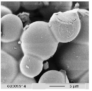 Εικόνα 9: Φωτογραφία ενός μη διαλυτού προϊόντος humin από το ηλεκτρονικό μικροσκόπιο Όπως δείχνει και το παραπάνω σχήμα είναι ένας μηχανισμός δύο παράλληλων αντιδράσεων πρώτης τάξης.