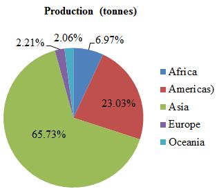 μεγαλύτερη παραγωγή και οι περισσότερες καλλιεργούμενες εκτάσεις βαμβακιού βρίσκονται στην Ασία με ποσοστό 65,76% και 63.