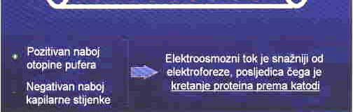 -elektroforeza visoke rezolucijske moći; brza izvedba