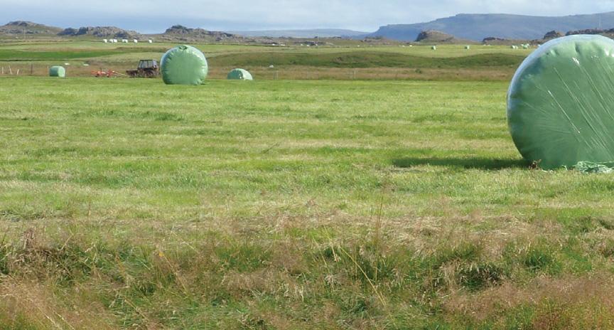 Smellinn+ einingahúsin eru ódýr og auðveld í uppsetningu.