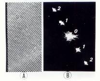 5 Η γνώση της πραγματικής μεγέθυνσης της ηλεκτρονιογραφίας γίνεται με καταγραφή, στην ίδια θέση μεγέθυνσης του μικροσκοπίου, πρότυπου δείγματος όπως αποτυπώματος γράμμωσης (grating replica) για