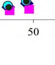 1:1 και 3:1 (mg ΝΟ - 3 kg -1 ) σε συνάρτηση με την συγκέντρωση των νιτρικών ν ιόντων στην ισορροπία (mg ΝΟΟ - 3 L -1 ). Από τα διαγράμματα 8.1 και 8.