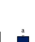 και (Β) 80 kg  Από το