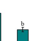 25(Α) καιι (Β) προκύπτει ότι όλα τα