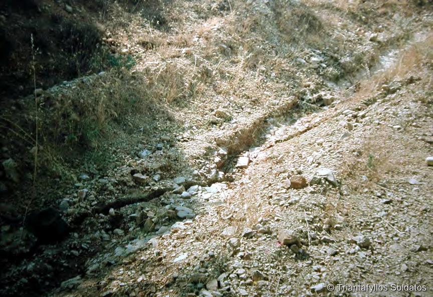 Περιοχή λίμνης Βόλβης.   Περιοχή λίμνης Βόλβης.