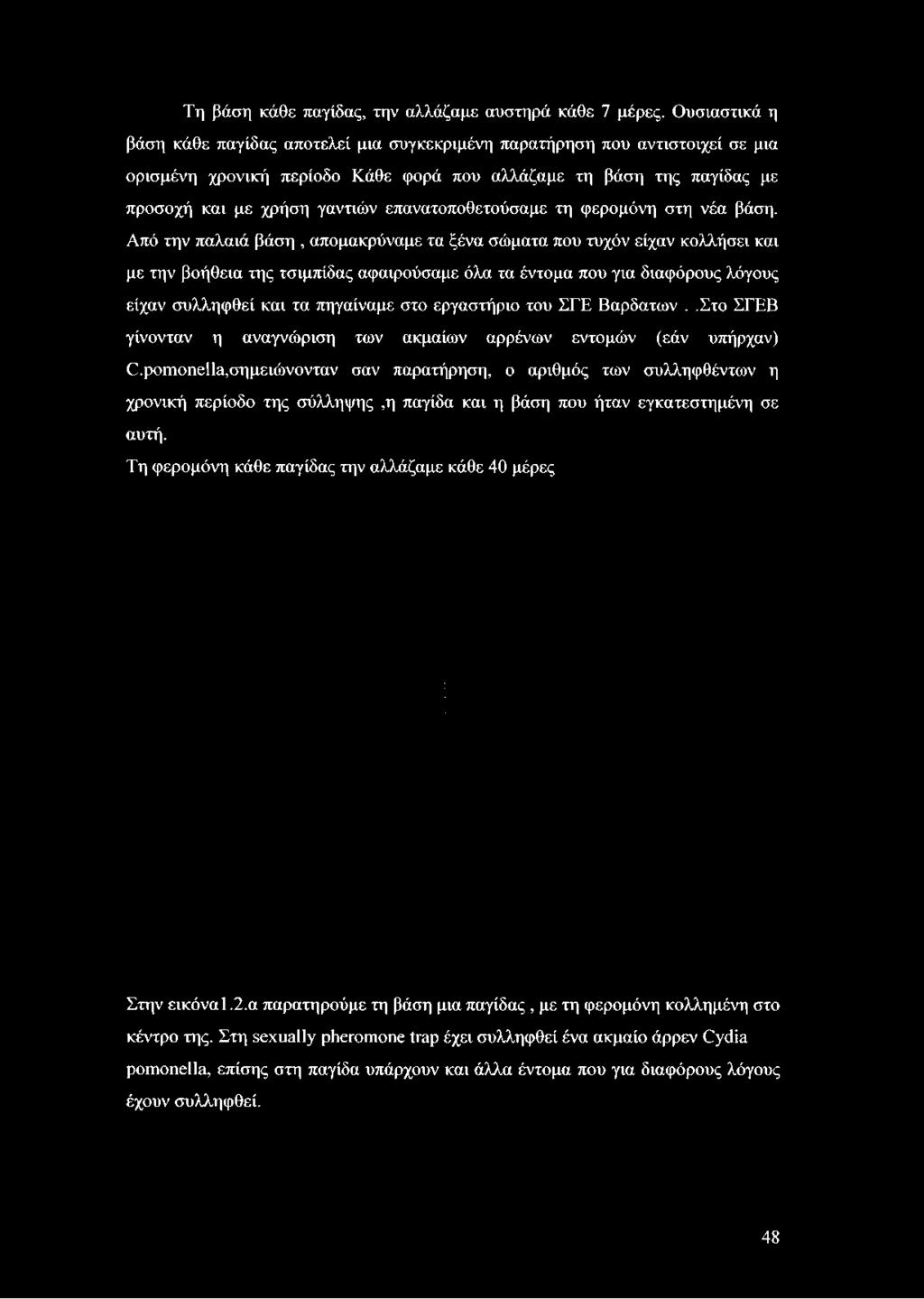 με χρήση γαντιών επανατοποθετούσαμε τη φερομόνη στη νέα βάση.