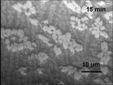 4 Εικόνες οπτικής µικροσκοπίας από το υαλοκεραµικά µε χρόνους κρυστάλλωσης 15 min, 2h.