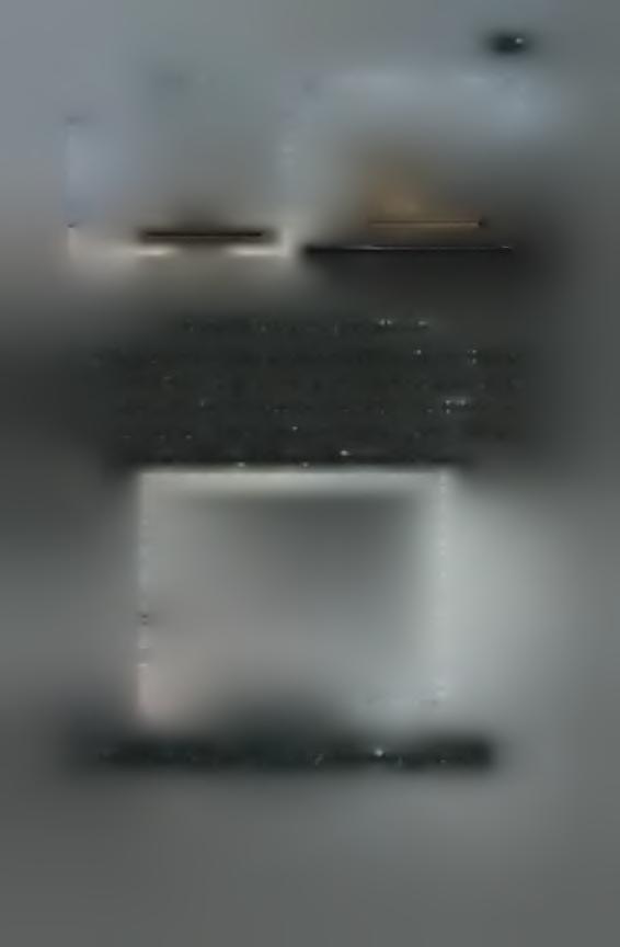 (Εικόνα 2.