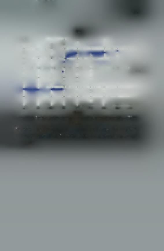 48 S4(t) Τ' - * 4... < ««««««* Ο 20 40 60 80 100 120 140 160 t(min) Σχήμα 3.