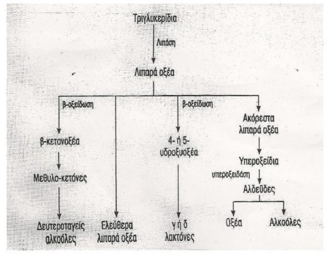 σε δευτεροταγείς αλκοόλες απελευθερώνοντας αρώματα στο τυρί (Collins et al., 2004).