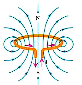Silovite linii vleguvaat od ednata strana, a izleguvaat od drugata strana na sprovodnikot, {to zna~i deka kru`niot sprovodnik se odnesuva kako mnogu tenok magnet, poznat kako magneten list, so dva