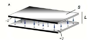 Elektrolitski kondenzatori Tantalov kondenzator: ima mal raboten napon (retko nad 100V), golema tolerancija i faktor na zagubi i golema kapacitativnost.