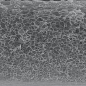 وارونگي فازي حفرههايي روی سطح غشا ایجاد شد.