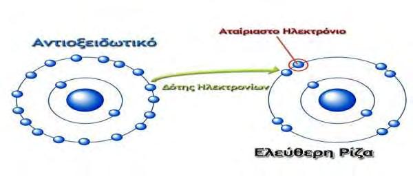 Εικόνα 10. Τρόπος δράσης αντιοξειδωτικών παραγόντων 2.