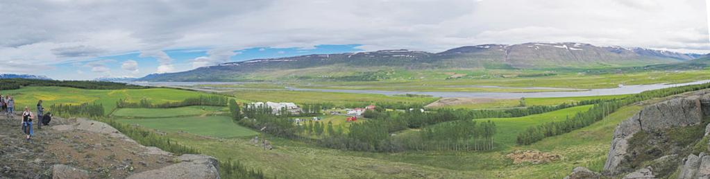 Bændablaðið Fimmtudagur 9. júlí 2015 29 Hvammur er sannarlega myndarlegt býli og umlukið skógi sem Páll Snorrason, bróðir Harðar, á stærstan heiðurinn af að rækta upp.