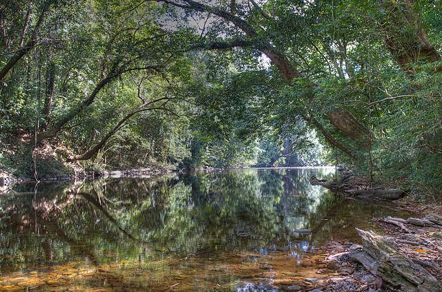 Επίσκεψη στην Πουτρατζάγια, "την πόλη-θαύμα" της Μαλαισίας Διαμονή και