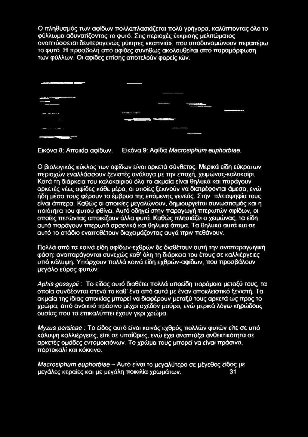 Οι αφίδες επίσης αποτελούν φορείς ιών. Εικόνα 8: Αποικία αφίδων. Εικόνα 9: Αφίδα Macrosiphum euphorbiae. Ο βιολογικός κύκλος των αφίδων είναι αρκετά σύνθετος.