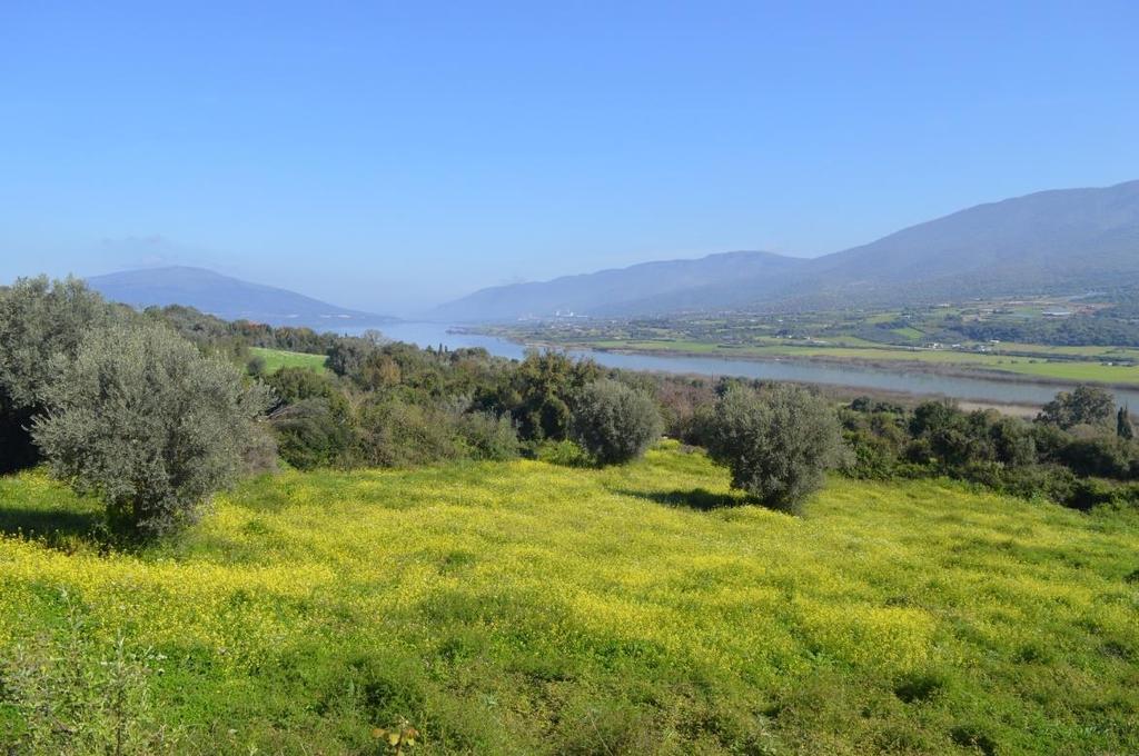 Σύμφωνα με μελέτες, η τροφική κατάσταση της λίμνης τα τελευταία 20 χρόνια δεν έχει αλλάξει. Η λίμνη Αμβρακία ανήκει στη κατηγορία των μεσοτροφικών λιμνών.