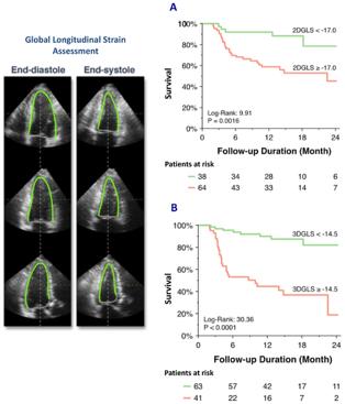 Δείκτες παραµόρφωσης Nagata et al JACC