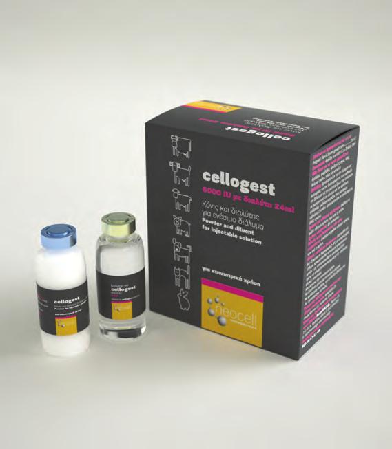 cellogest Φιαλίδιo των 6000 IU με διαλύτη 24 ml ΑΜΚ 82135/17-11-09 Σύνθεση σε δραστικά συστατικά και άλλες ουσίες (ανά συσκευασία) Δραστικό (ά) Έκδοχα Διαλύτης Pregnant Mare s Serum gonadotrophin.