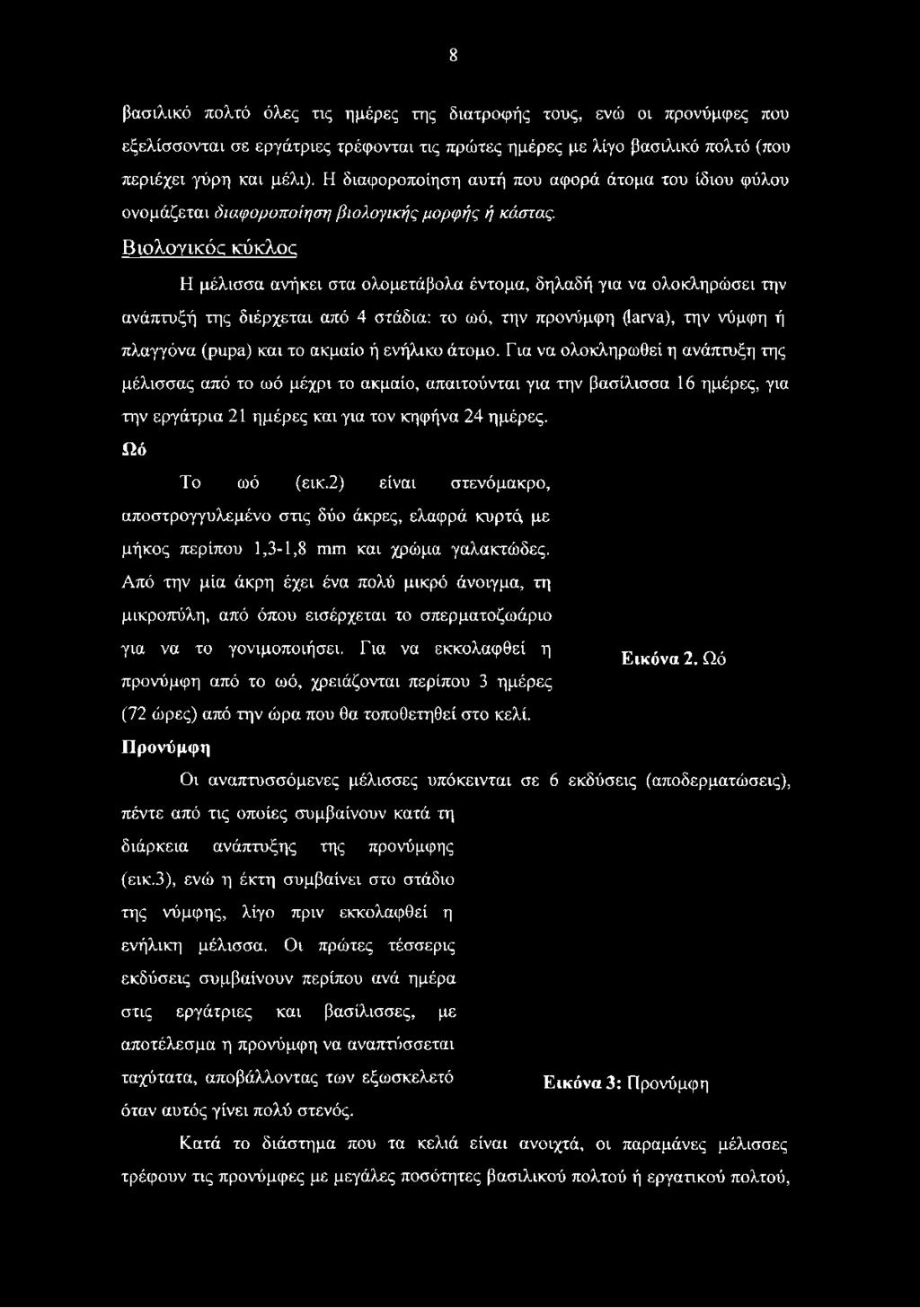 Βιολογικός κύκλος Η μέλισσα ανήκει στα ολομετάβολα έντομα, δηλαδή για να ολοκληρώσει την ανάπτυξή της διέρχεται από 4 στάδια: το ωό, την προνύμφη (larva), την νύμφη ή πλαγγόνα (pupa) και το ακμαίο ή