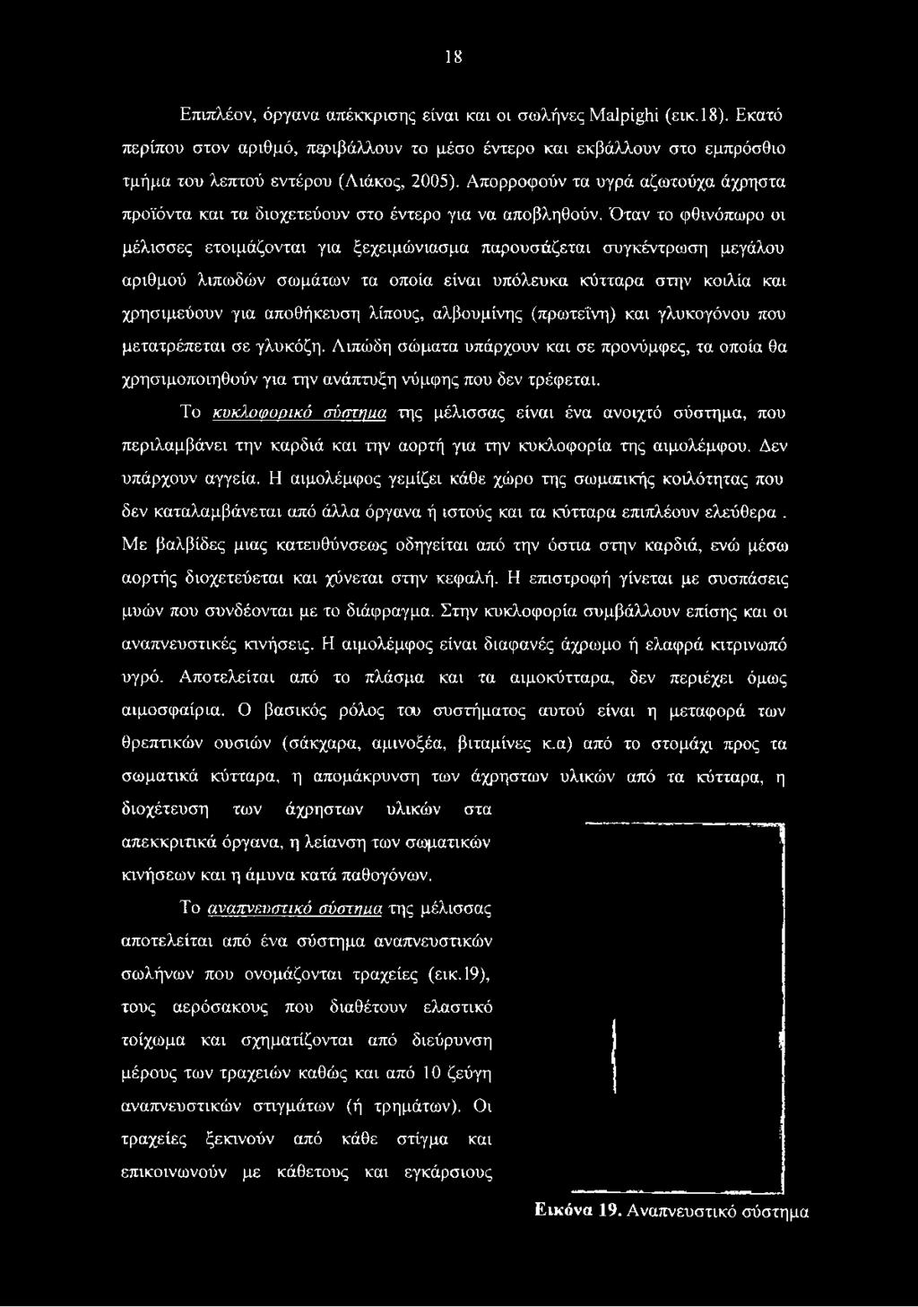 Όταν το φθινόπωρο οι μέλισσες ετοιμάζονται για ξεχειμώνιασμα παρουσάζεται συγκέντρωση μεγάλου αριθμού λιπωδών σωμάτων τα οποία είναι υπόλευκα κύτταρα στην κοιλία και χρησιμεύουν για αποθήκευση