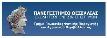 Πανεπιστήμιο