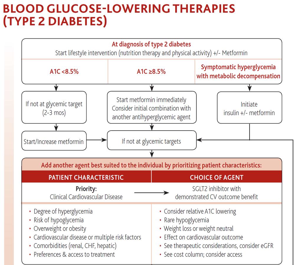 Canadian Diabetes Association 2016 Presentation title Date 9 8 Canadian Diabetes