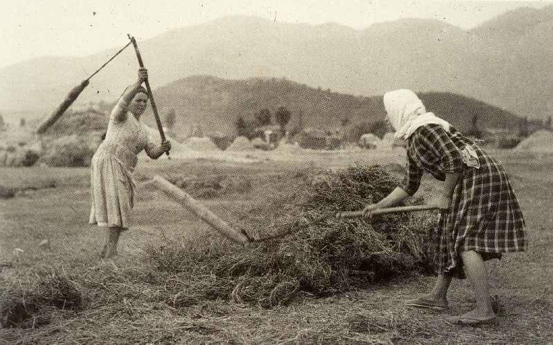 Νεολιθική εποχή Αρχή της καλλιέργειας