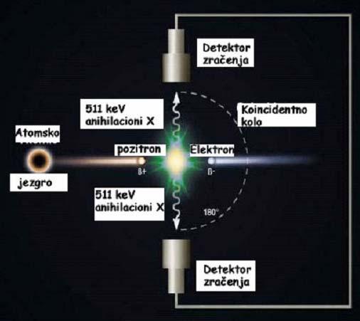 Raspad i detekcija gama zračenja Kada pozitron udari elektron u okolnom tkivu, dve čestice anihiliraju uz