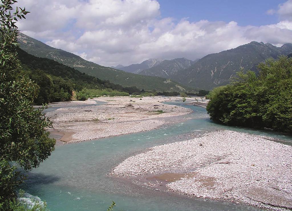 Βαθμιαία μετάβαση από υδρόβιο σε χερσαίο βιότοπο παραρεμάτιας περιοχής.