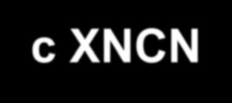 Hệ Thống Thoát Nước XNCN Mỗi XNCN đều có hệ thống thoát nước, bao gồm: