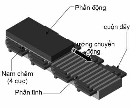 tieâu chuaån. Ñoäng cô böôùc coù roto laø nam chaâm vónh cöûu, chuùng laøm vieäc döïa treân töø tröôøng cuûa nam chaâm vónh cöõu treân roto vaø töø tröôøng cuûa cuoän daây treân stato.