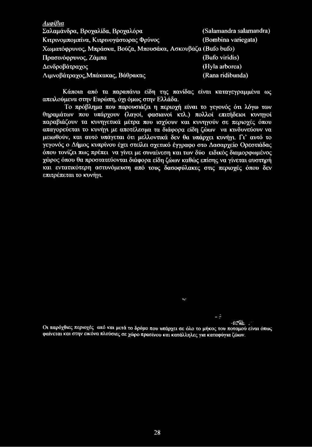 ) πολλοί επιτήδειοι κυνηγοί παραβιάζουν τα κυνηγετικά μέτρα που ισχύουν και κυνηγούν σε περιοχές όπου απαγορεύεται το κυνήγι με αποτέλεσμα τα διάφορα είδη ζώων να