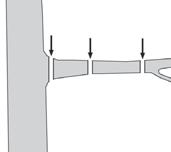 Κοπή μεγαλύτερων κλαδιών Σε μεγαλύτερα κλαδιά (Ø 8-20 cm), δημιουργήστε πρώτα μια κοπή αποφόρτισης A (βλ. Εικόνα). Η κοπή αποφόρτισης εμποδίζει, επίσης, το ξεφλούδισμα του φλοιού στον κύριο κορμό.