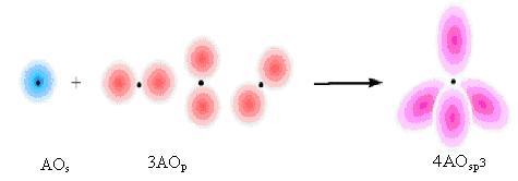 AO s 2AO p 3AO sp 2 (sp 2 ) 2 (sp 2 ) 1 s + p + p (sp 2 ) 3 Hình 13.