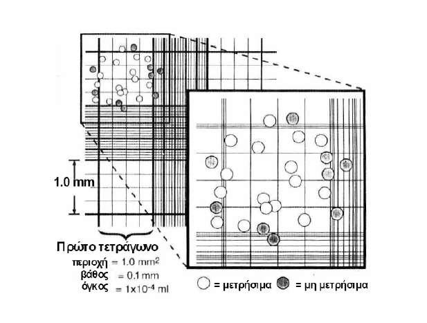 Επίσης, κάθε ένα από τα αρχικά τετράγωνα, έχει επιπλέον διαβαθμίσεις (χωρίζεται σε μικρότερα τετράγωνα) για να διευκολύνεται η μέτρηση των κυττάρων.
