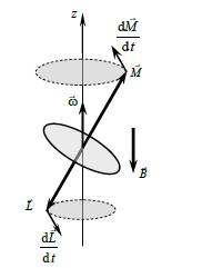 rezultă: dm dt = ω M (FG.5.5.) ude ω = γ B, (FG.5.5.3) adică o mişcare de precesie a vectorului M, î jurul lui B (Fig. FG.5.5.) (Precesia Larmor va fi utilizată petru explicarea efectului Zeema). Fig.