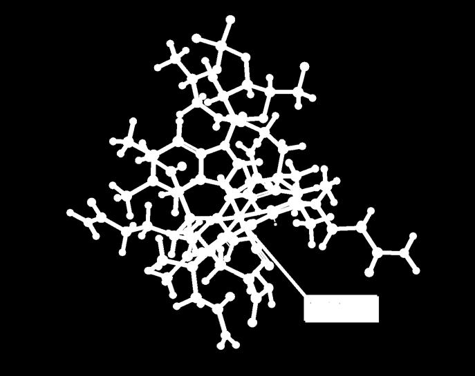 Vitamin B12, kobalamin ili