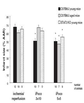 Απμεκέλε ειηθία - Αιγόξηζκνη εθαξκνγήο J Am Coll Cardiol