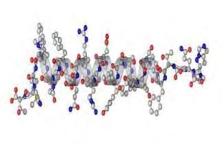 6 Γλυκαγόνη-Δομή και βιολογική δράση Η γλυκαγόνη (εικόνα 20) εκκρίνεται από τα α-κύτταρα των παγκρεατικών νησιδίων και η δράση της είναι ξεκάθαρα καταβολική.