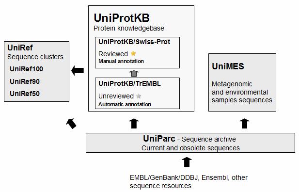 συνεργασία των European Bioinformatics Institute (EBI), Swiss Institute of Bioinformatics (SIB) και Protein Information Resource (PIR).